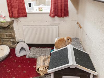 Picture 23